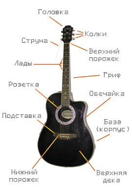 Устройство гитары